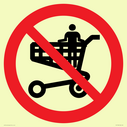 p925-prohibition-no-standing-in-trolley~
